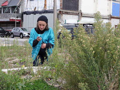 Liv planting medicinal herbs in the rubble